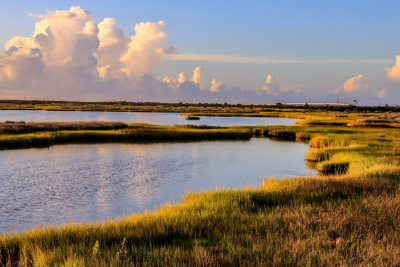 Sunrise on the marshes on Bodie Island in Cape Hatteras NS
