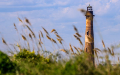 Morris Island Lighthouse through dune grasses in the Lighthouse Inlet Heritage Preserve near Charleston South Carolina