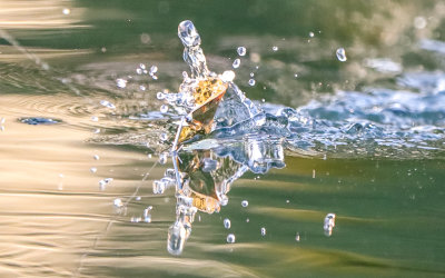 Lure splashes through the waters of Chickamauga Lake