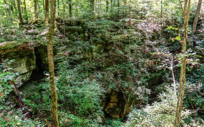 Sinkhole created when the limestone ceiling collapsed in Russell Cave National Monument