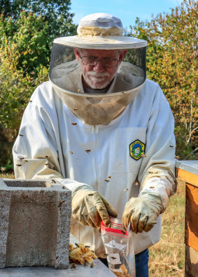 Mike bags pieces of the comb that have been scraped from the top of the beehive frames