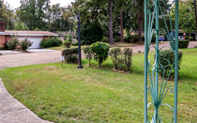 View of the bushes across the street (center) where the assassin fired his shot in Medgar Evers NM