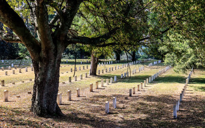View of Vicksburg National Cemetery in Vicksburg NMP