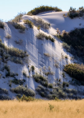 Long late afternoon shadows on a sand dune in White Sands National Park