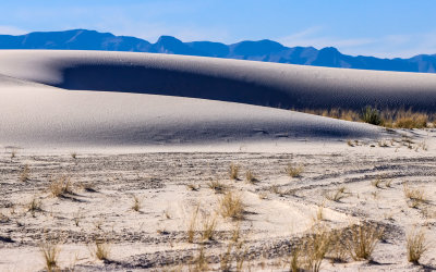 Shadows provide a stark contrast against the bright white sands in White Sands National Park