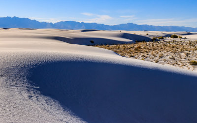 Dunes in the Alkali Flat with the San Andres Mountains in the distance in White Sands National Park