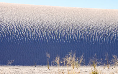 Ripples in the sand formed by wind in White Sands National Park