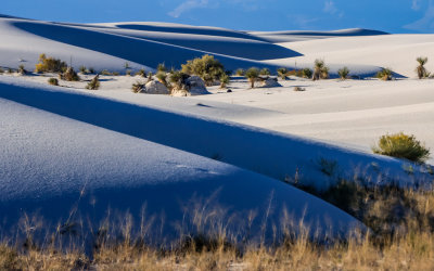 Late afternoon sunlight creates dark and light areas across the dunes in White Sands National Park