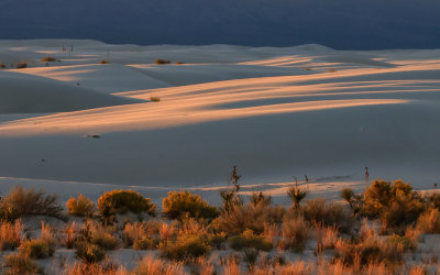 Islands of light are created by the late afternoon sun in White Sands National Park