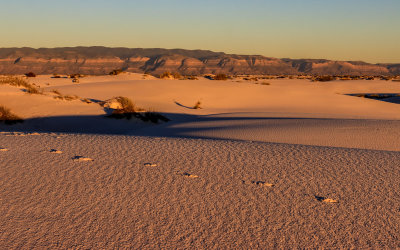 The gypsum sands turned orange by the setting sun in White Sands National Park