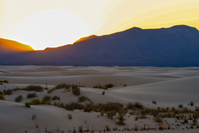 The dune field in the gloaming in White Sands National Park