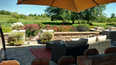 Patio view - July 2017