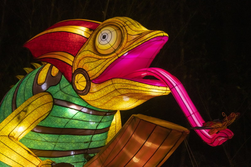 Asian Lantern Festival 2019