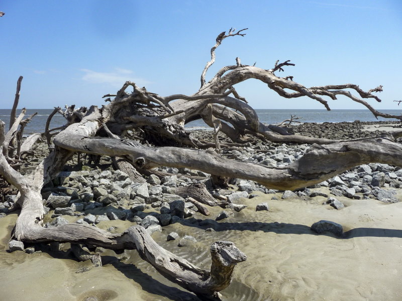 Jeckyll Island Georgia 8-21