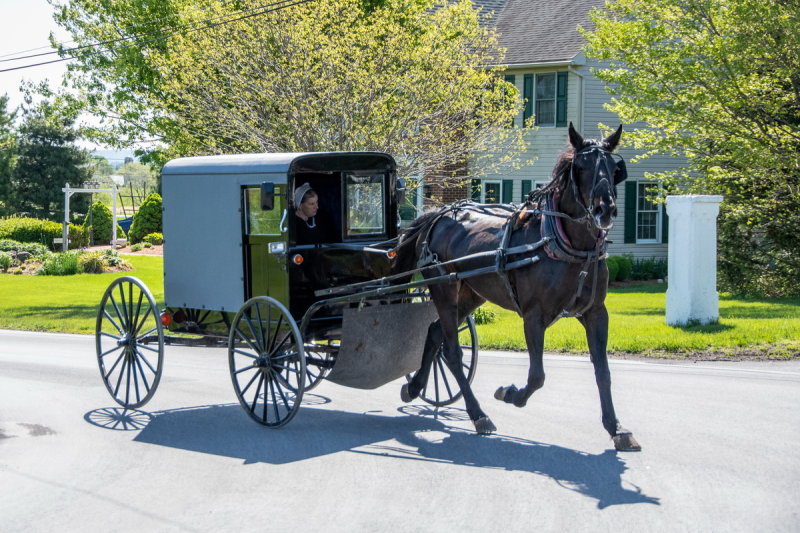 Lancaster Pennsylvania  2022