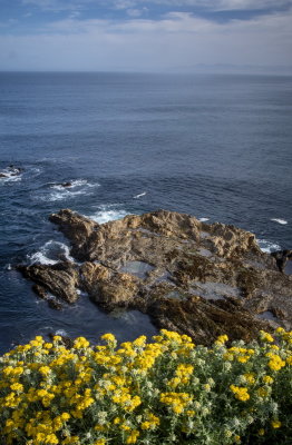 Montana De Oro SP-15.jpg