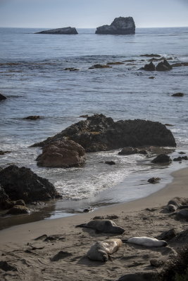 San Simeon Beach-2.jpg