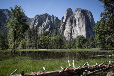Yosemite NP-175-7.jpg