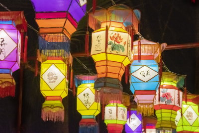 Lantern Festival_067.jpg