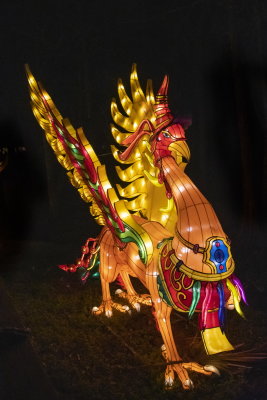 Lantern Festival_086.jpg