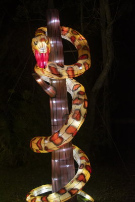 Lantern Festival_094.jpg
