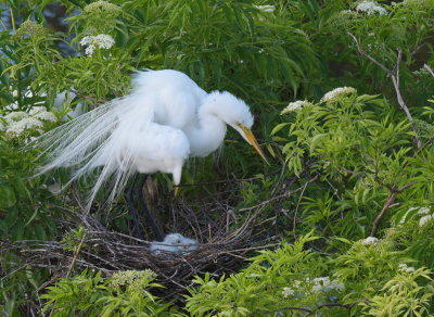 DSC_5446.JPG