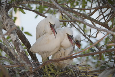 DSC_5572.JPG