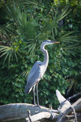 DSC_5664.JPG