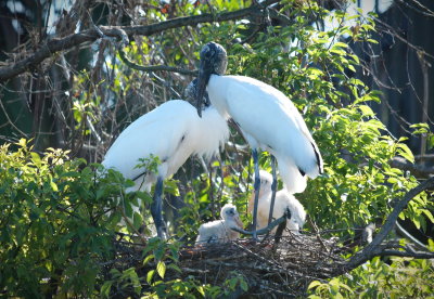 DSC_5720.JPG