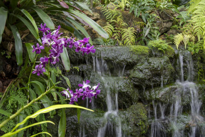 McKee Gardens 2021-39.jpg