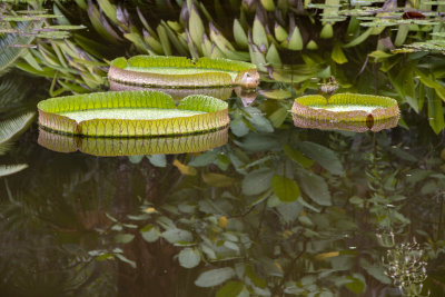 McKee Gardens 2021-4.jpg