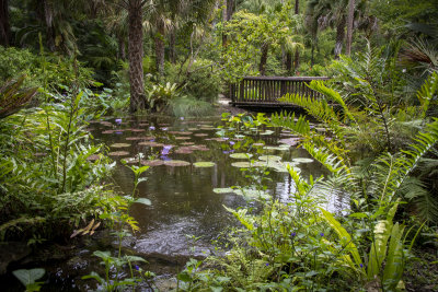 McKee Gardens 2021-69.jpg