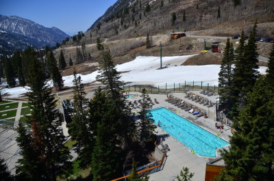 Snowbird_08.JPG