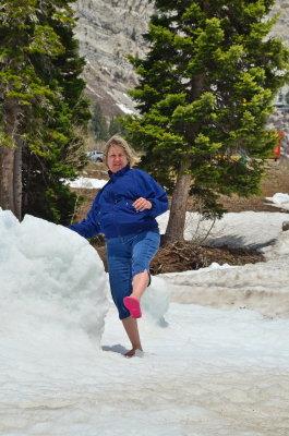 Snowbird_09.JPG