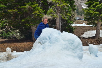 Snowbird_11.JPG