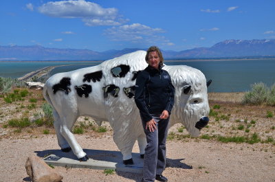 Antelope Island_01.JPG