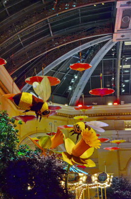 Las Vegas_070.JPG