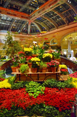 Las Vegas_073.JPG