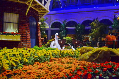 Las Vegas_082.JPG