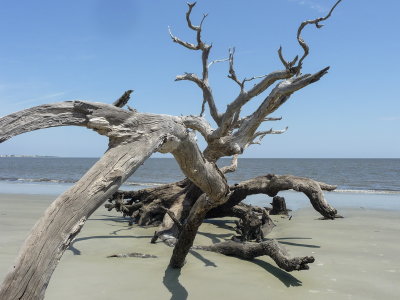 Jeckyll Island 8-21__06.jpg