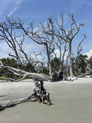 Jeckyll Island 8-21__10.jpg