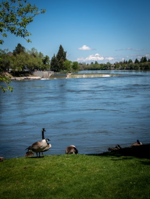 Idaho Falls_7.jpg