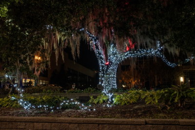 Eola 2021 Christmas-16.jpg