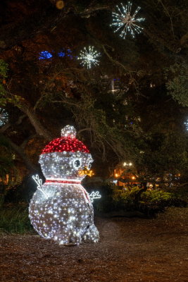 Eola 2021 Christmas-18.jpg