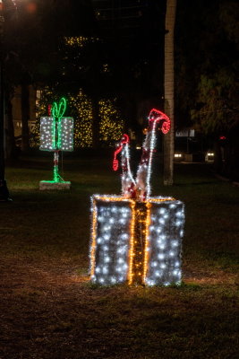 Eola 2021 Christmas-22.jpg