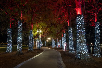 Eola 2021 Christmas-32.jpg