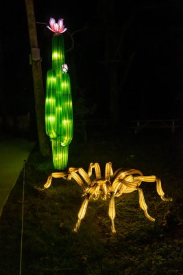 Lantern Festival 2021_24.jpg