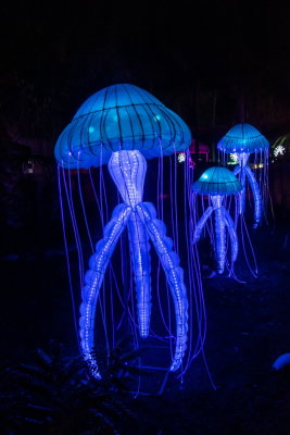 Lantern Festival 2021_27.jpg
