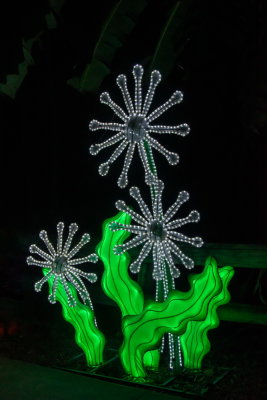 Lantern Festival 2021_29.jpg