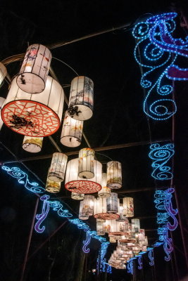Lantern Festival 2021_34.jpg